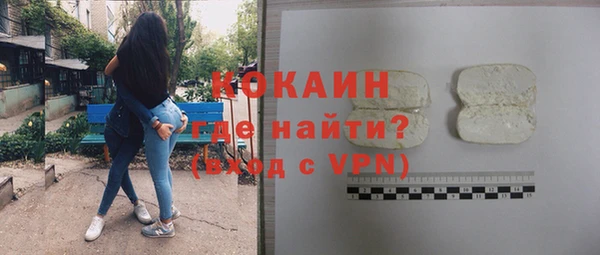 шишки Абаза