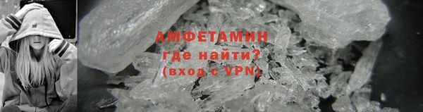 шишки Абаза