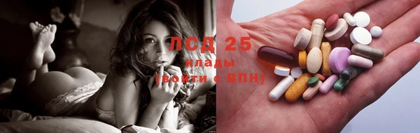 шишки Абаза