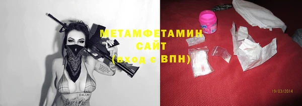 шишки Абаза