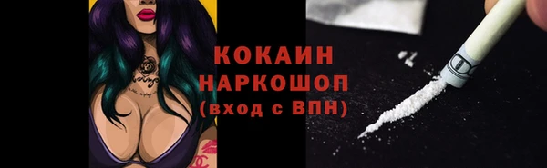 шишки Абаза