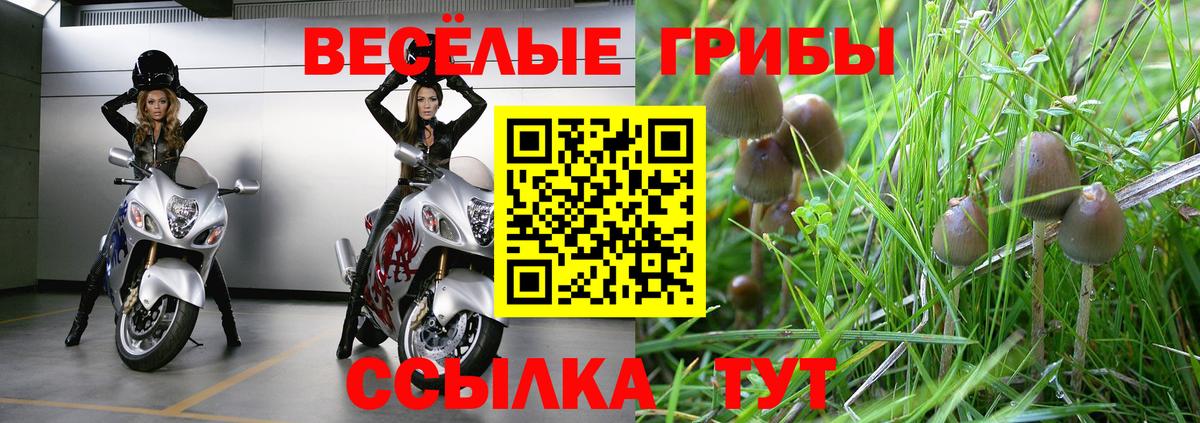 Галлюциногенные грибы ЛСД  Вход с VPN  Благовещенск 