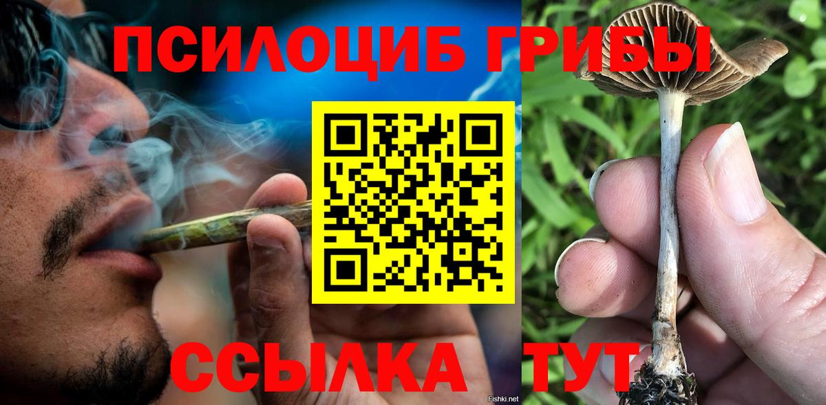 Псилоцибиновые грибы Psilocybine cubensis Благовещенск